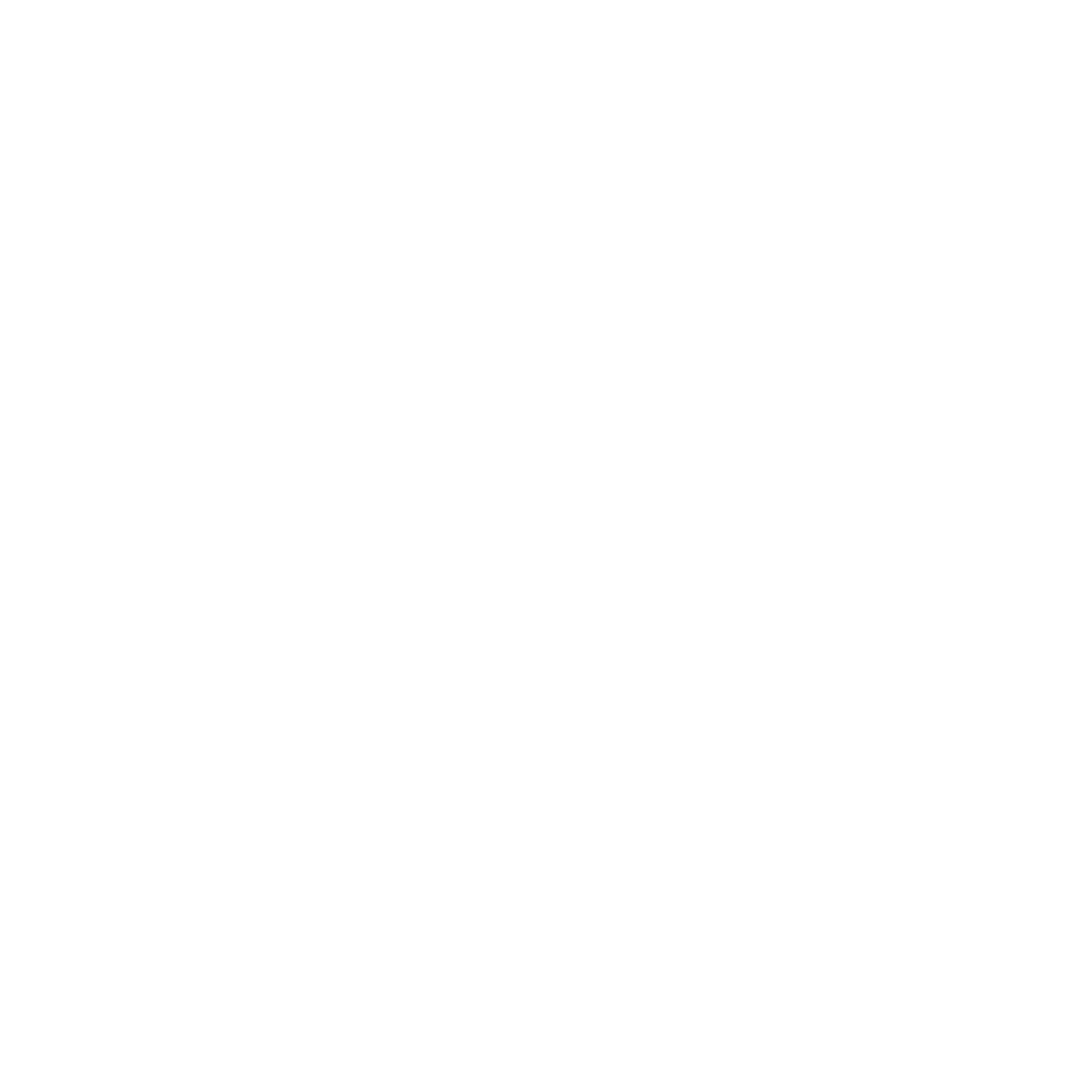 Syntelli Logo